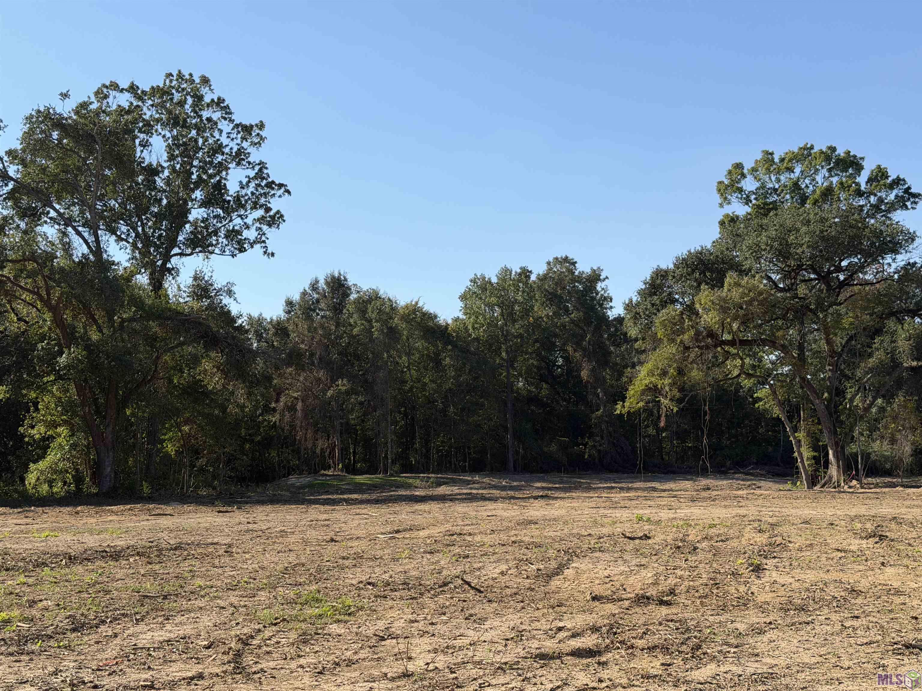 39 North Stately Oaks Drive Baton Rouge, LA 70810 - Photo 8 of 9