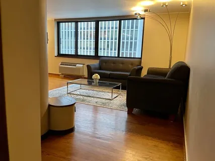 $3,500 | 1221 North Dearborn Street, Unit 804S, Chicago, IL 60610