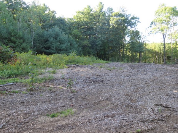 17 G H Wilson Road Spencer, MA 01562 - Photo 8 of 14 Gallery Image 8