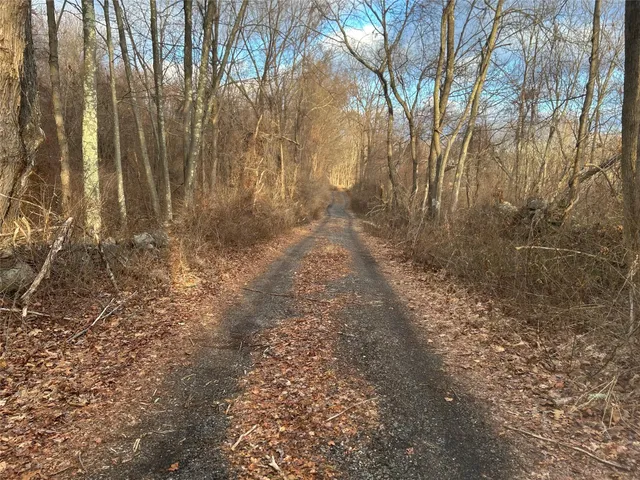 a view of a yard with trees