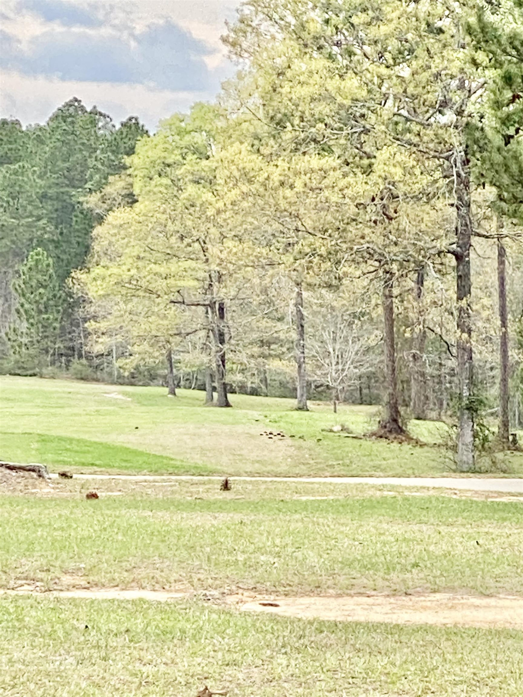37 Juniper Creek Road Brewton, AL 36426 - Photo 2 of 3 Backyard view.