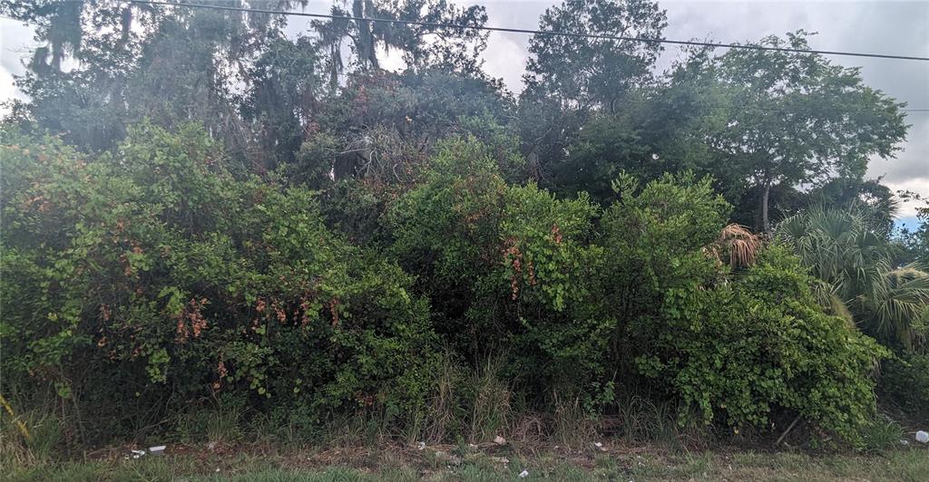 Willow Oak Road Mulberry, FL 33860 - Photo 1 of 1