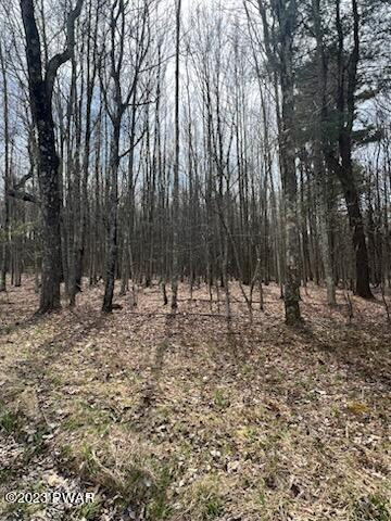 Daniels Road Hawley, PA 18428 - Photo 2 of 6