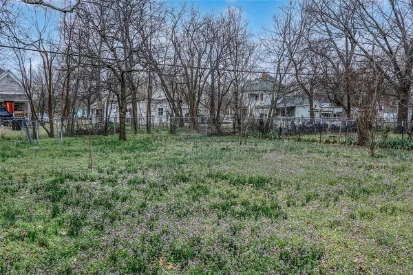 a view of a trees in a yard