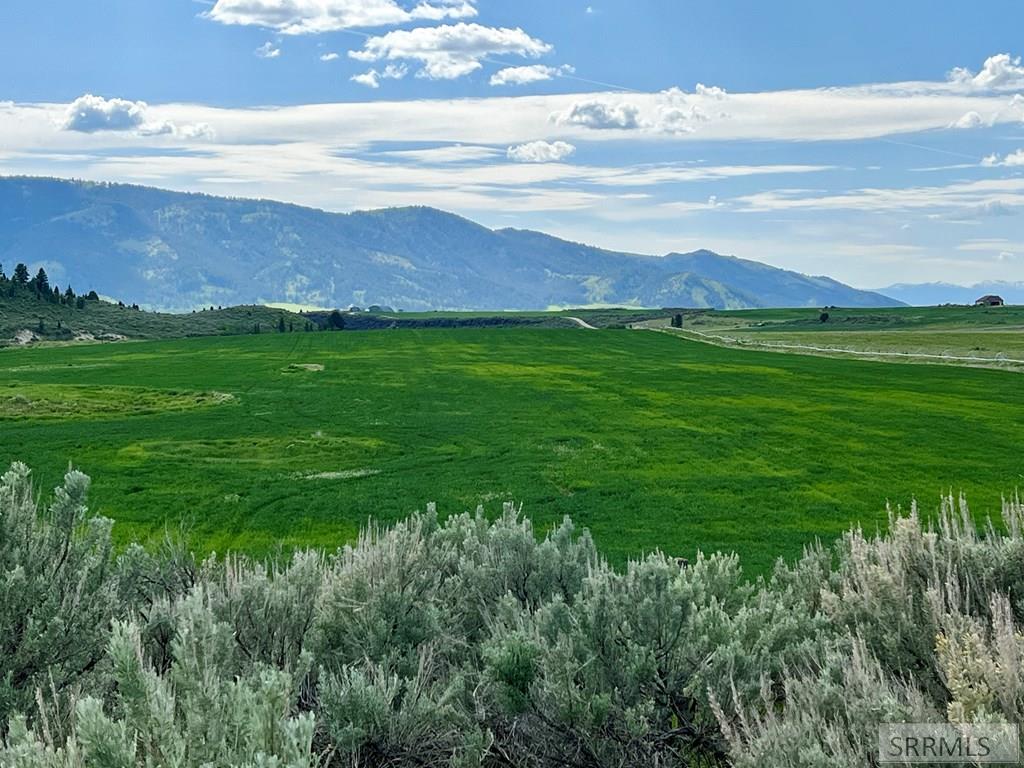 Tbd Bailey Creek Road Soda Springs, ID 83276 - Photo 56 of 59 Gallery Image 56
