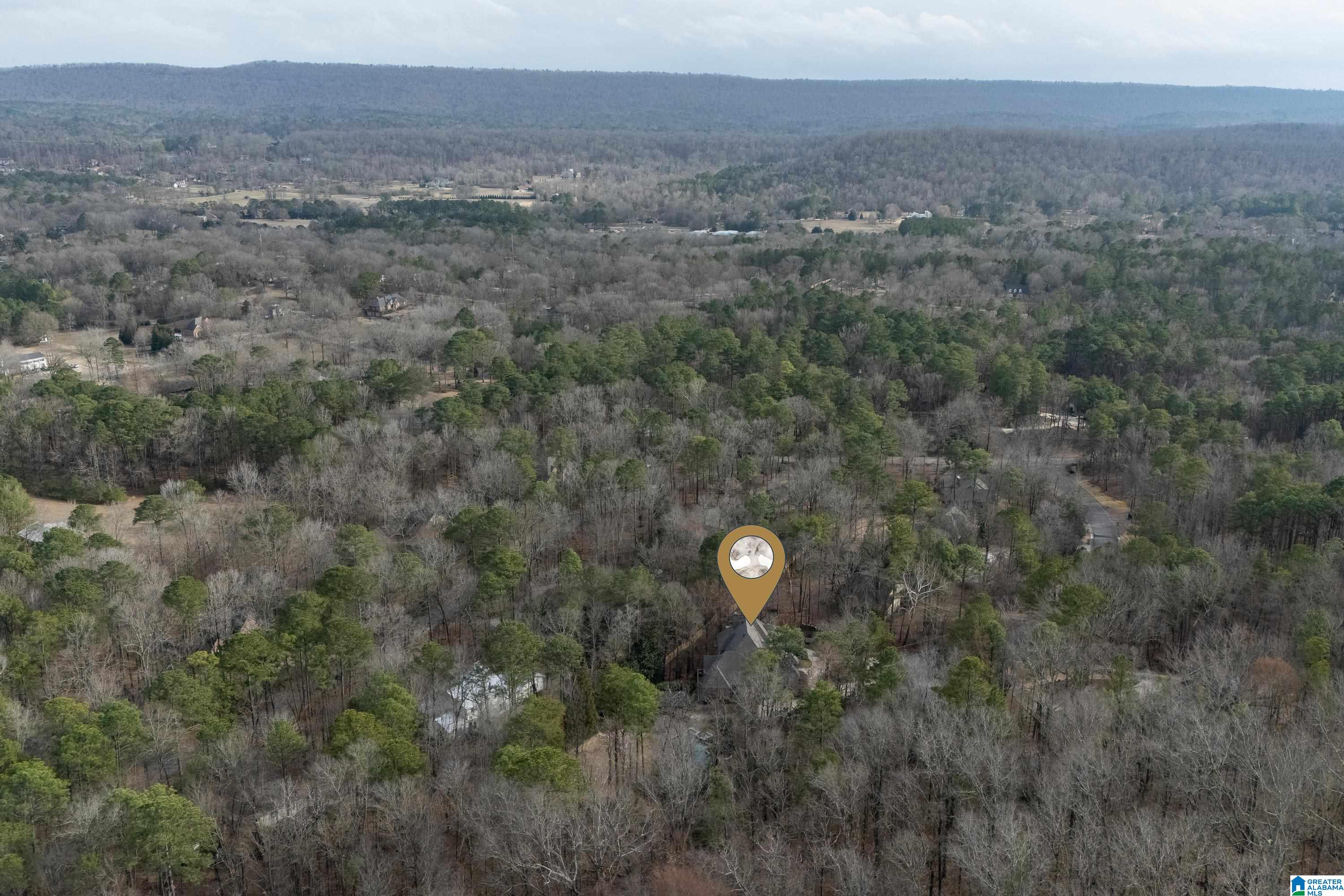 146 Foxfire Circle Pelham, AL 35124 - Photo 83 of 91