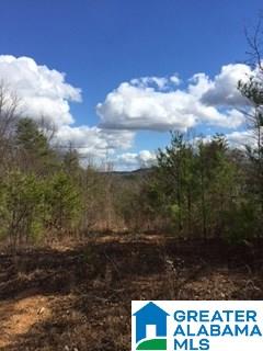 0 Henderson Lake Road, Unit 128 Munford, AL 36268 - Photo 17 of 31