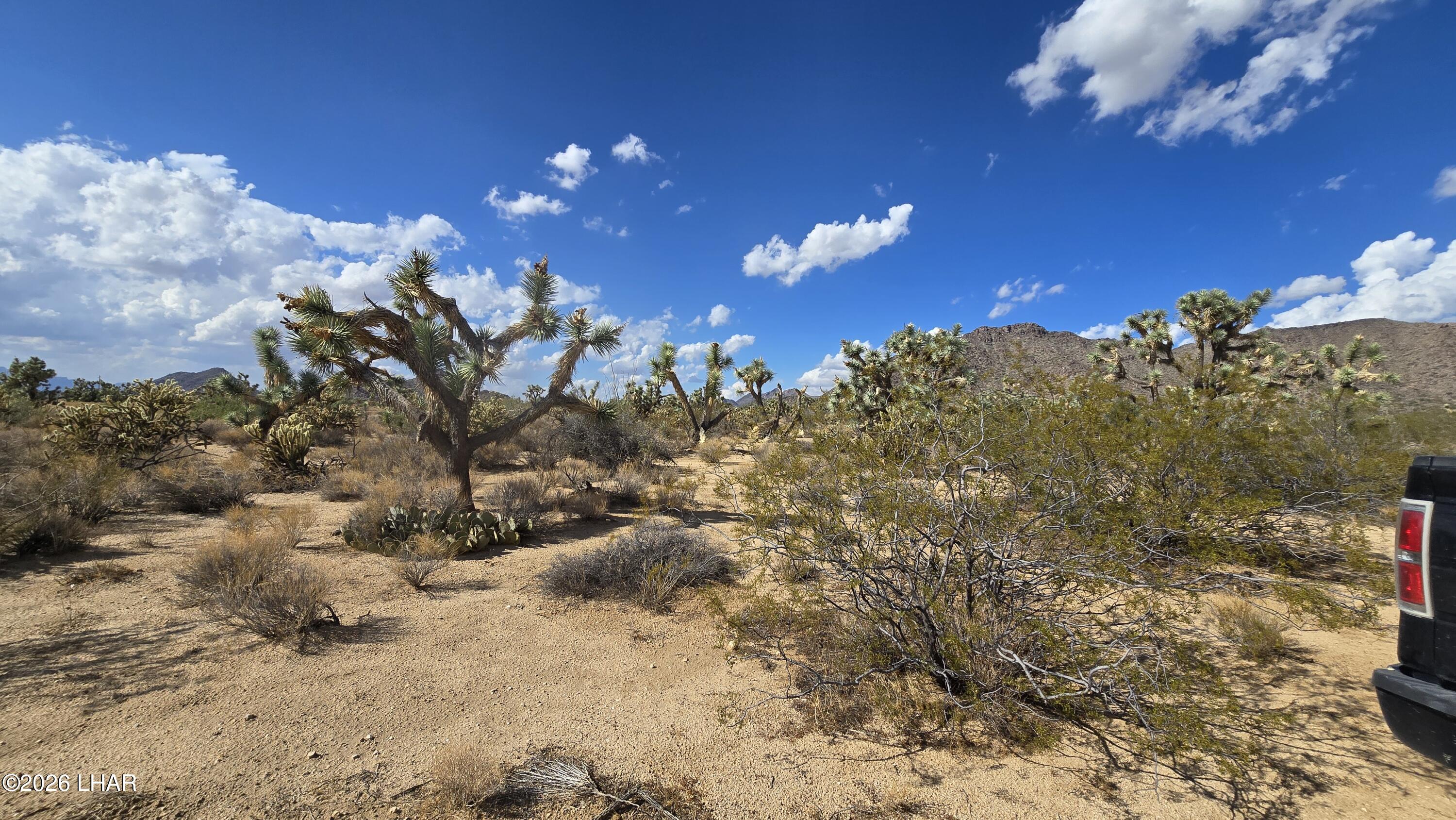 208-27196d South Kinard Road Yucca, AZ 86438 - Photo 23 of 40 20260831_155358