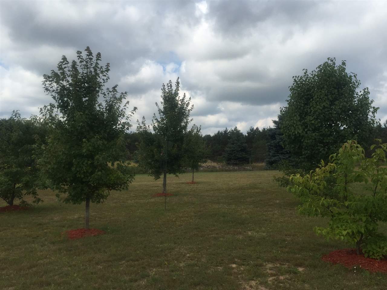 1713 East 16 Road Manton, MI 49663 - Photo 86 of 91 1843598-85.JPG