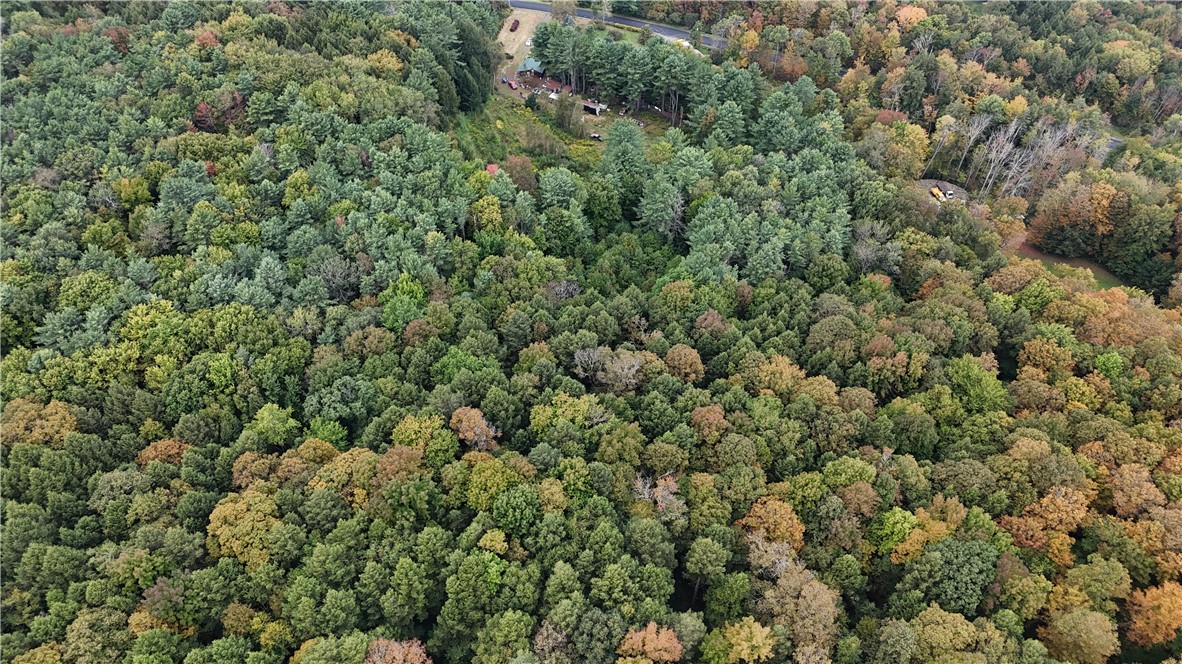 914 Middlefield Road Roseboom, NY 13320 - Photo 4 of 9