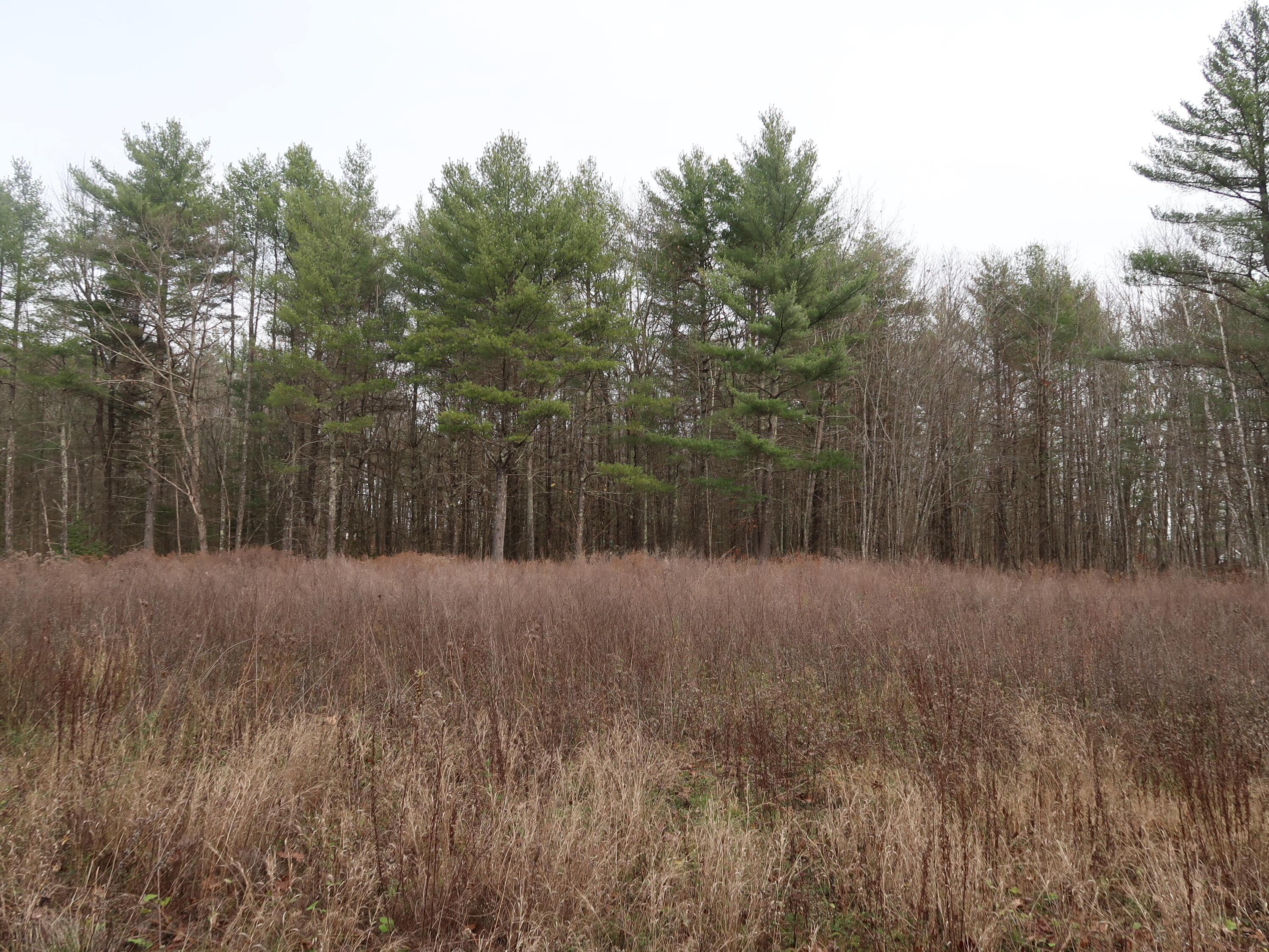 614 Windsor Road Augusta, ME 04330 - Photo 19 of 56 IMG_0261