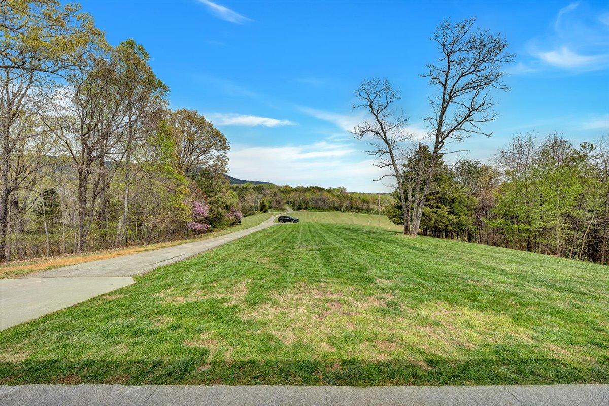 982 White Church Road Fincastle, VA 24090 - Photo 5 of 32 Land view