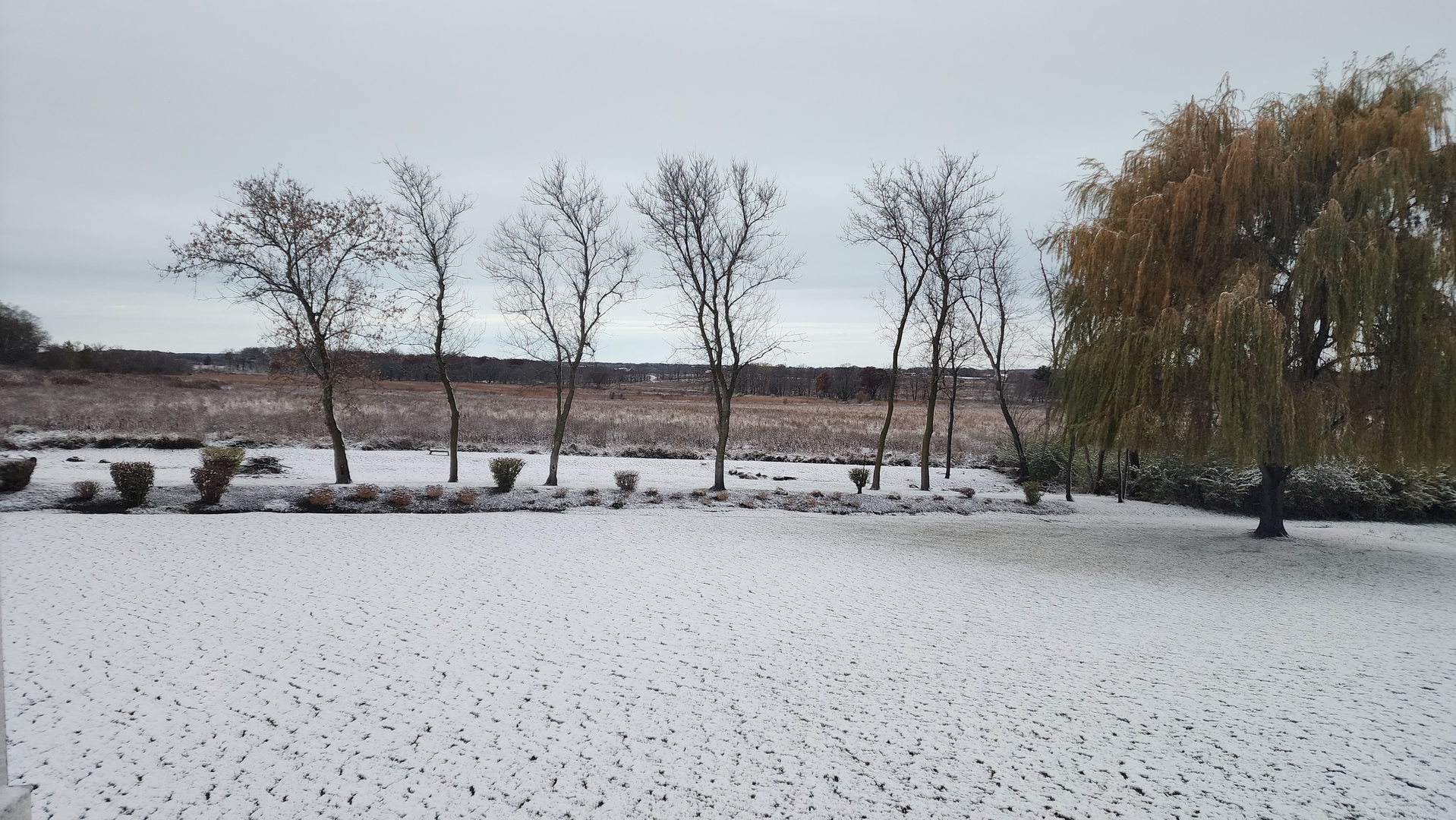 4220 Northgate Drive Spring Grove, IL 60081 - Photo 86 of 105