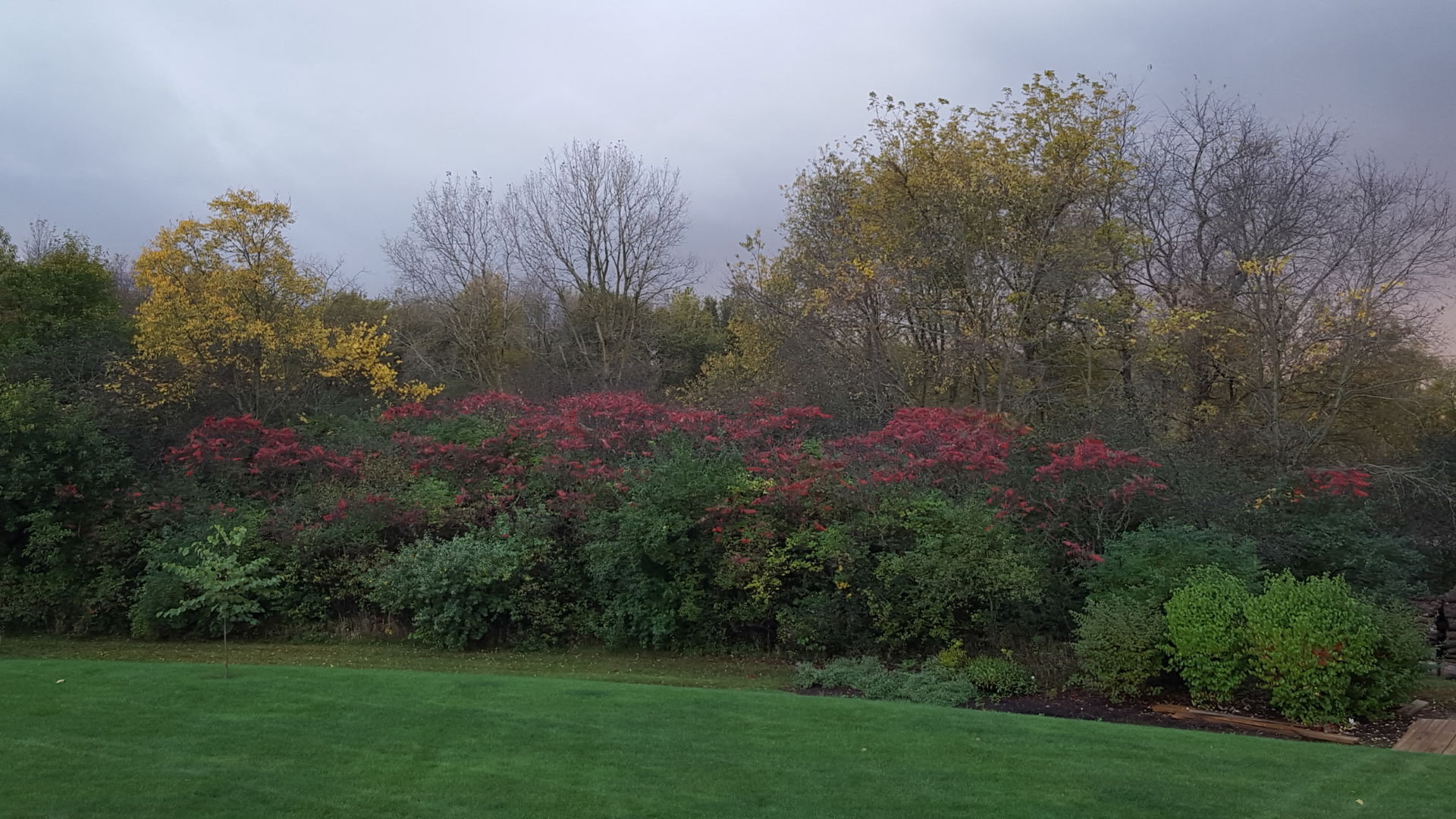 4220 Northgate Drive Spring Grove, IL 60081 - Photo 92 of 105