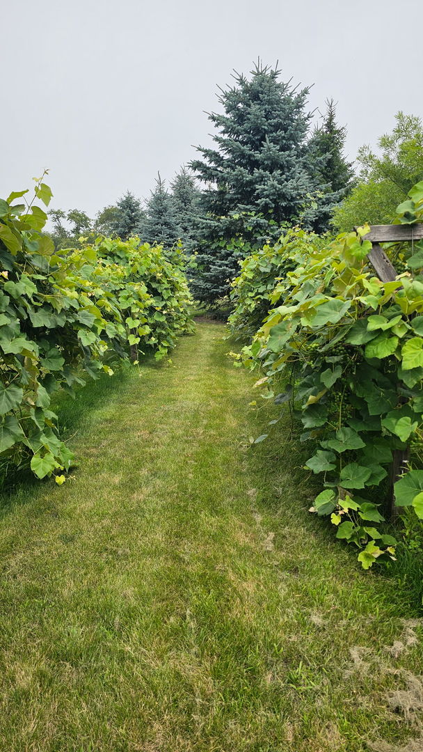 4220 Northgate Drive Spring Grove, IL 60081 - Photo 94 of 106