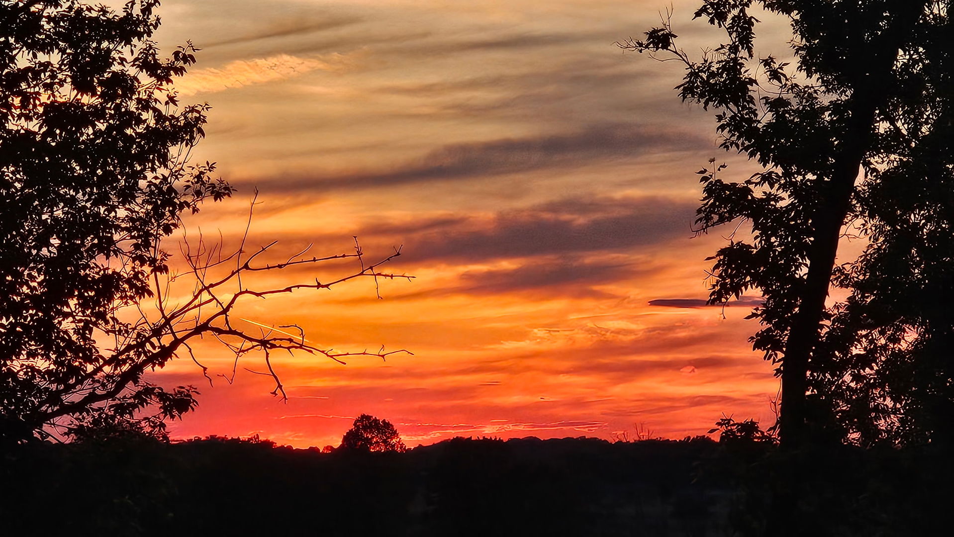 4220 Northgate Drive Spring Grove, IL 60081 - Photo 95 of 106