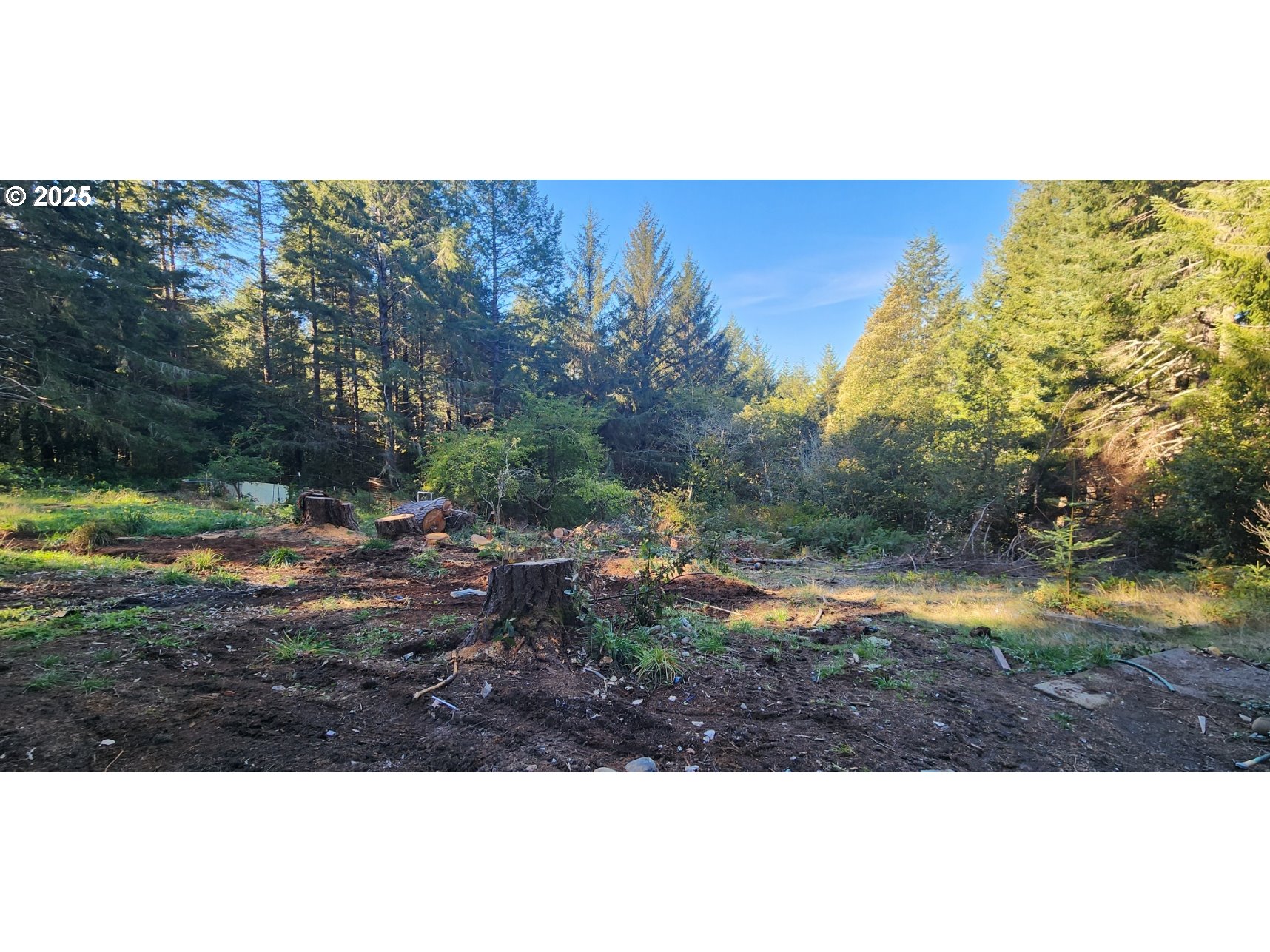 96026 Sundown Road Brookings, OR 97415 - Photo 7 of 19 Gallery Image 7