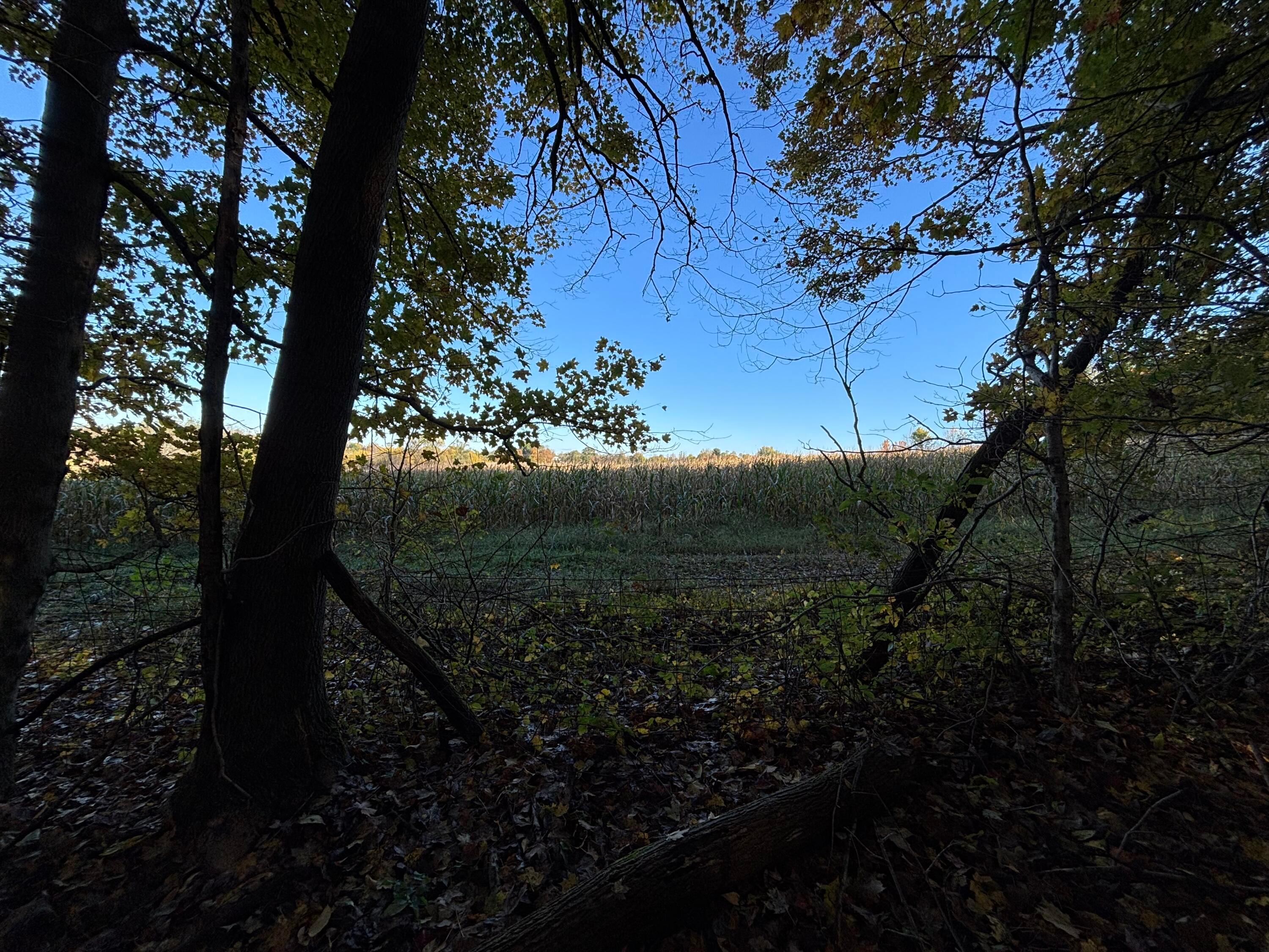 IMG_6789