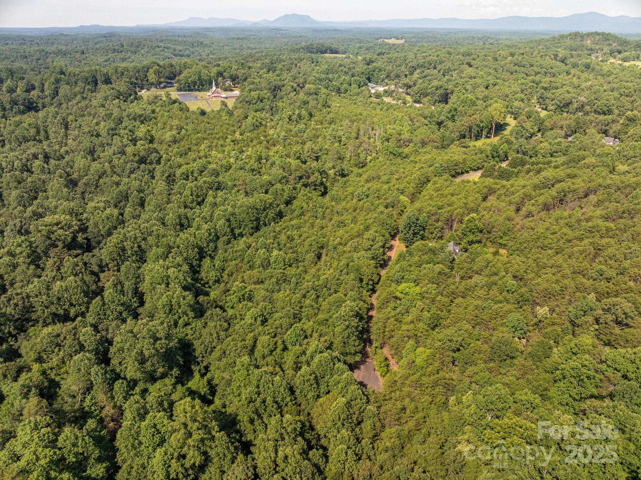Lot # Meadow Crossing Drive Rutherfordton, NC 28139 - Photo 6 of 13 a view of a city with lush green forest