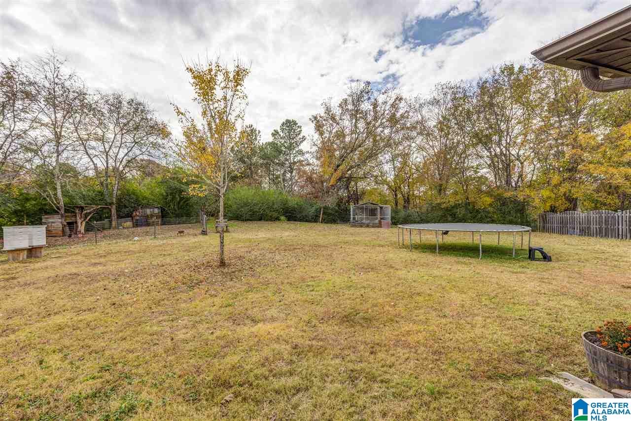230 Briar Ridge Lane Odenville, AL 35120 - Photo 23 of 26