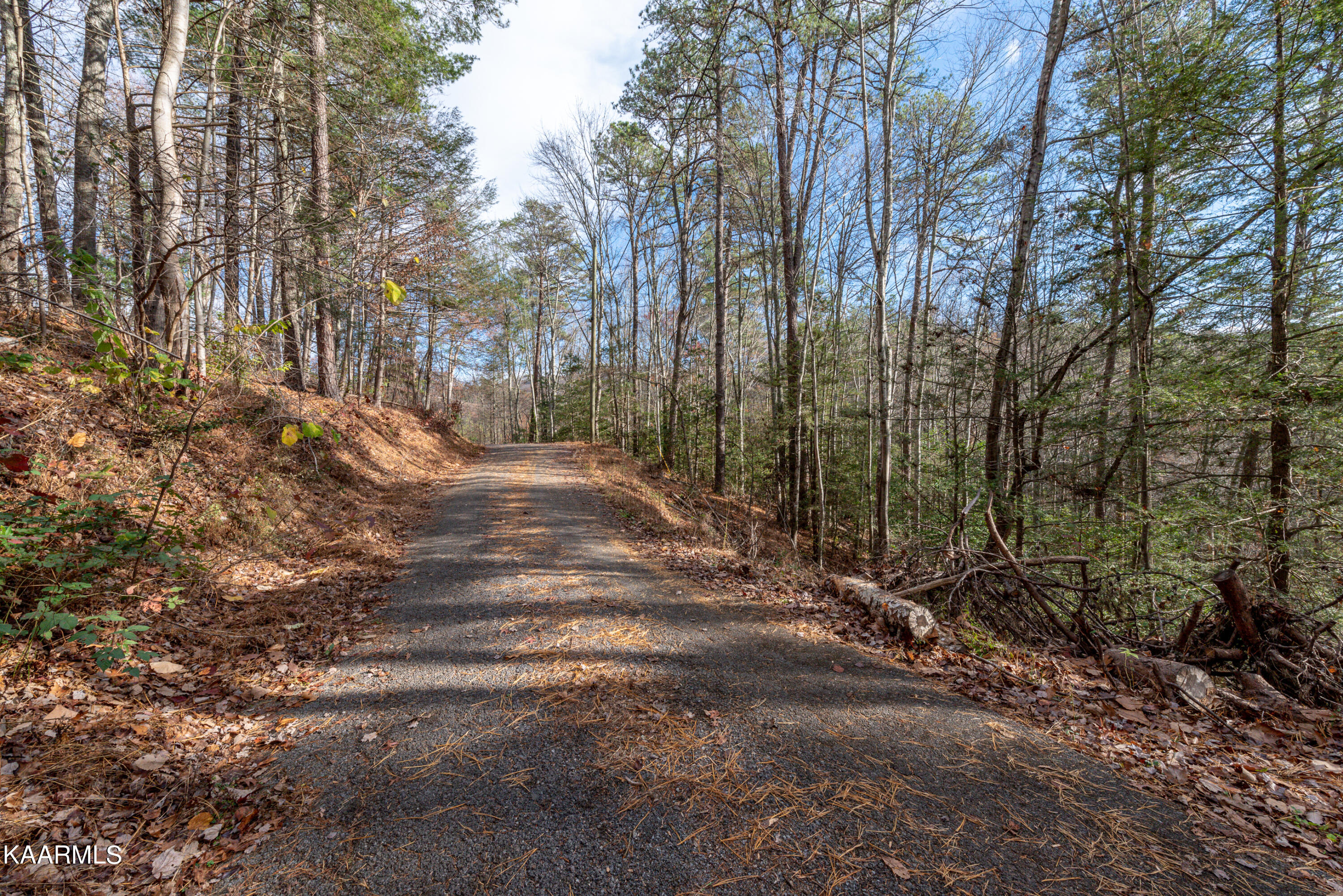 10-14 High Top Loop Sevierville, TN 37862 - Photo 11 of 17 DSC_7117
