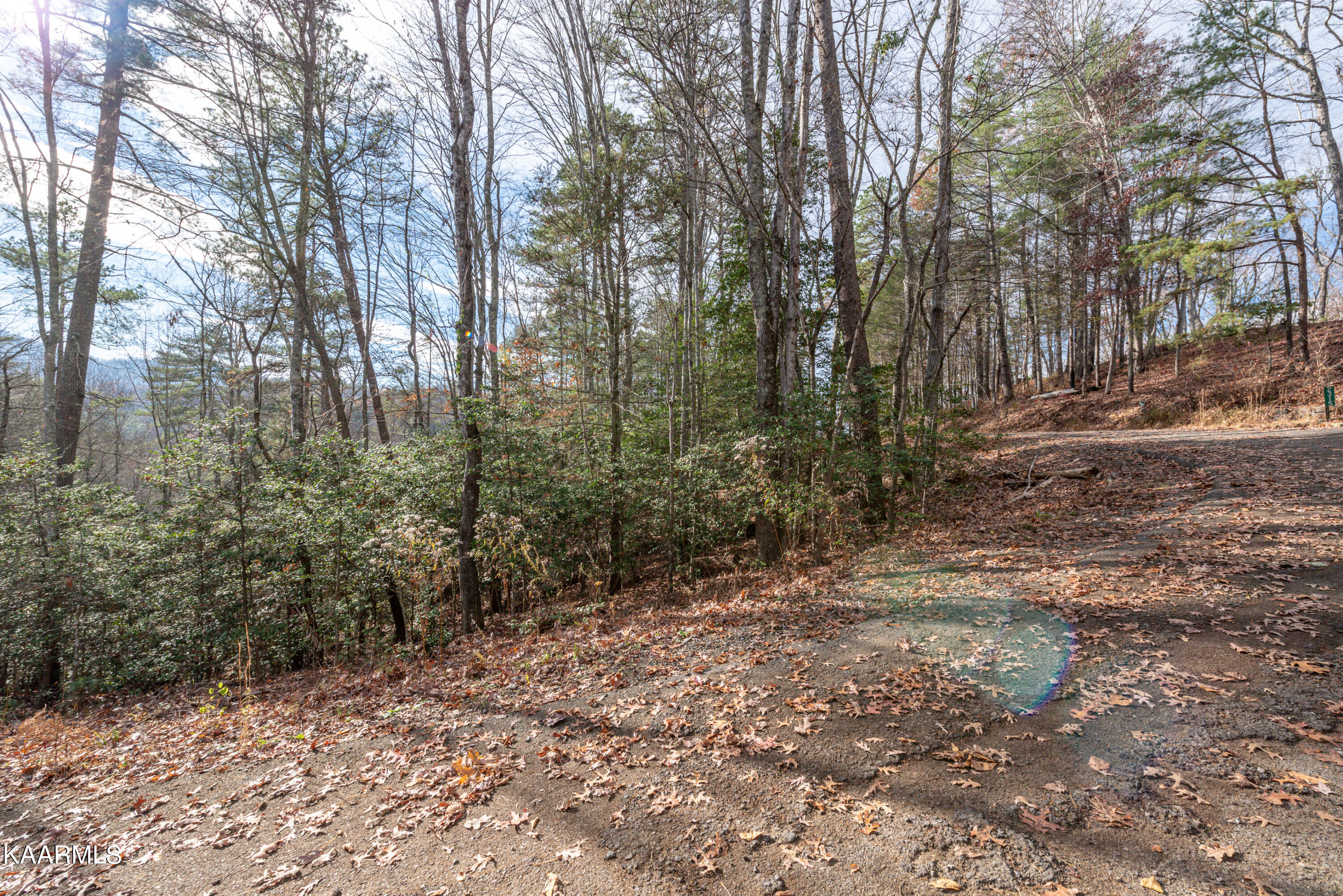 10-14 High Top Loop Sevierville, TN 37862 - Photo 13 of 17 DSC_7119