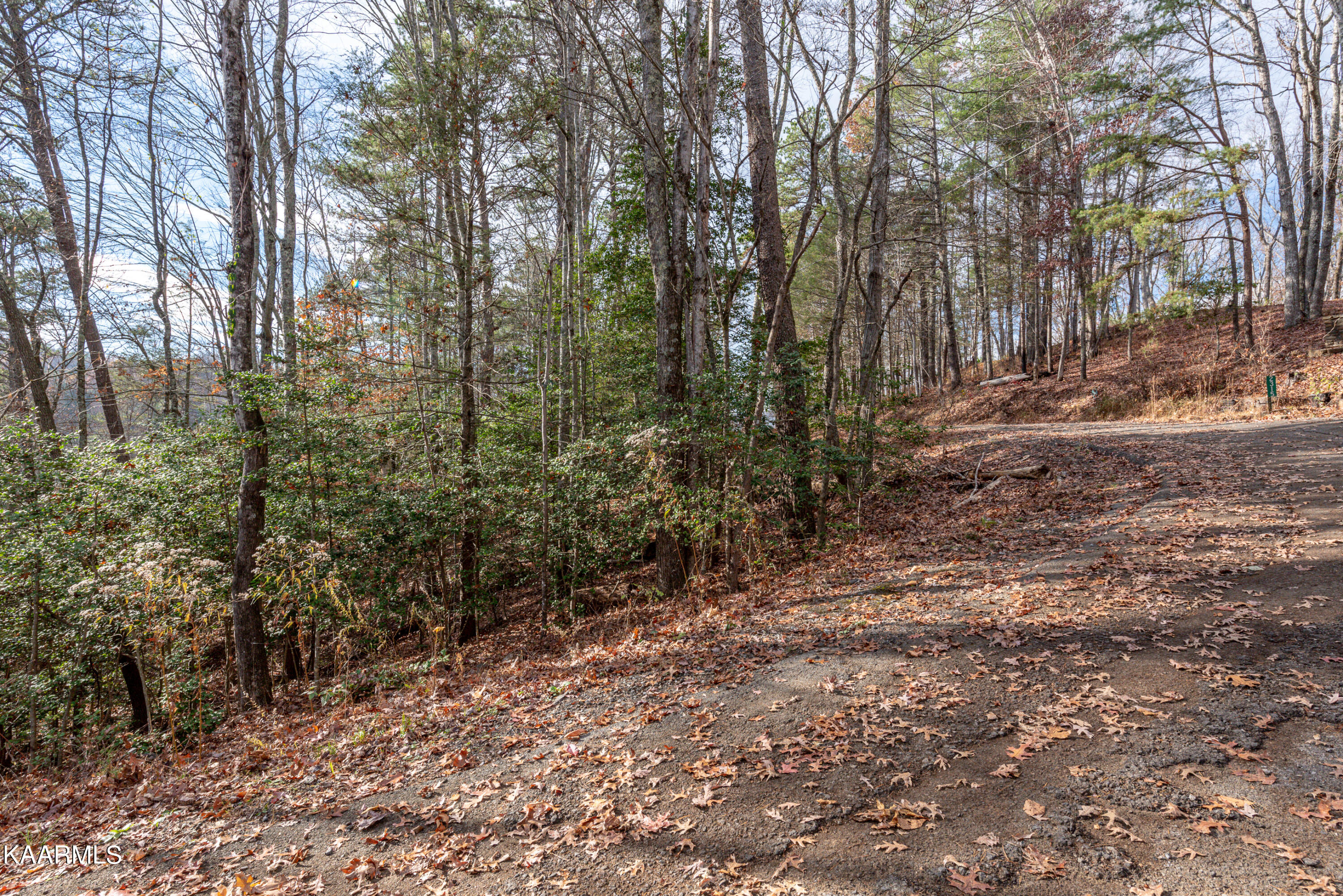 10-14 High Top Loop Sevierville, TN 37862 - Photo 14 of 17 DSC_7120