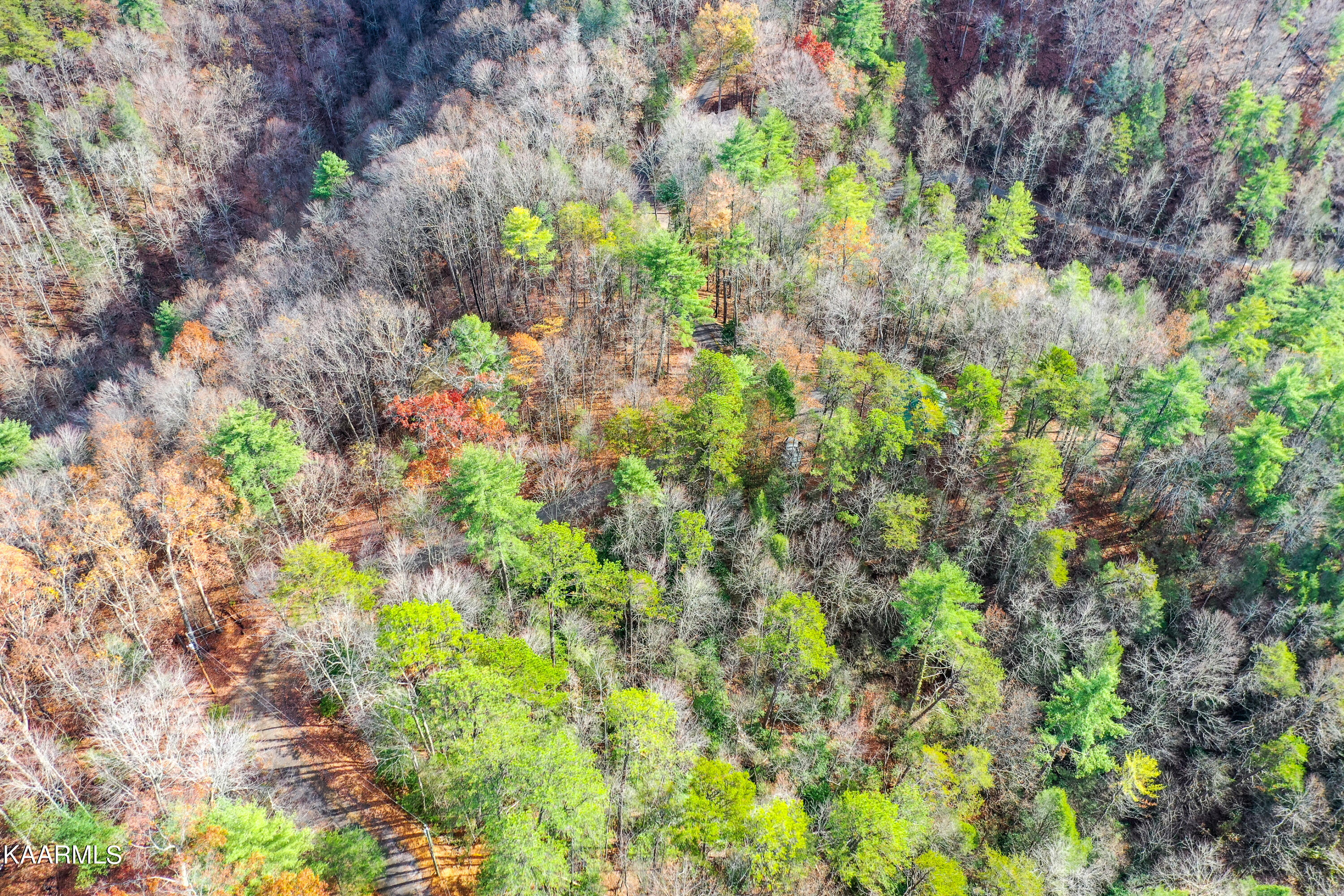 10-14 High Top Loop Sevierville, TN 37862 - Photo 5 of 17 DSC_0189-2
