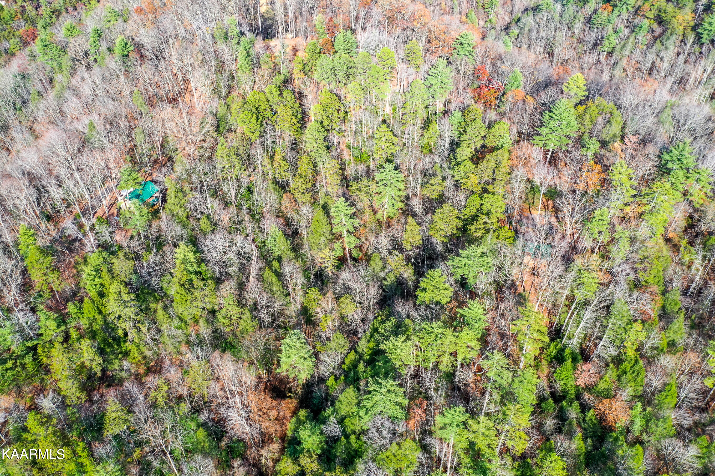 10-14 High Top Loop Sevierville, TN 37862 - Photo 6 of 17 DSC_0189-4