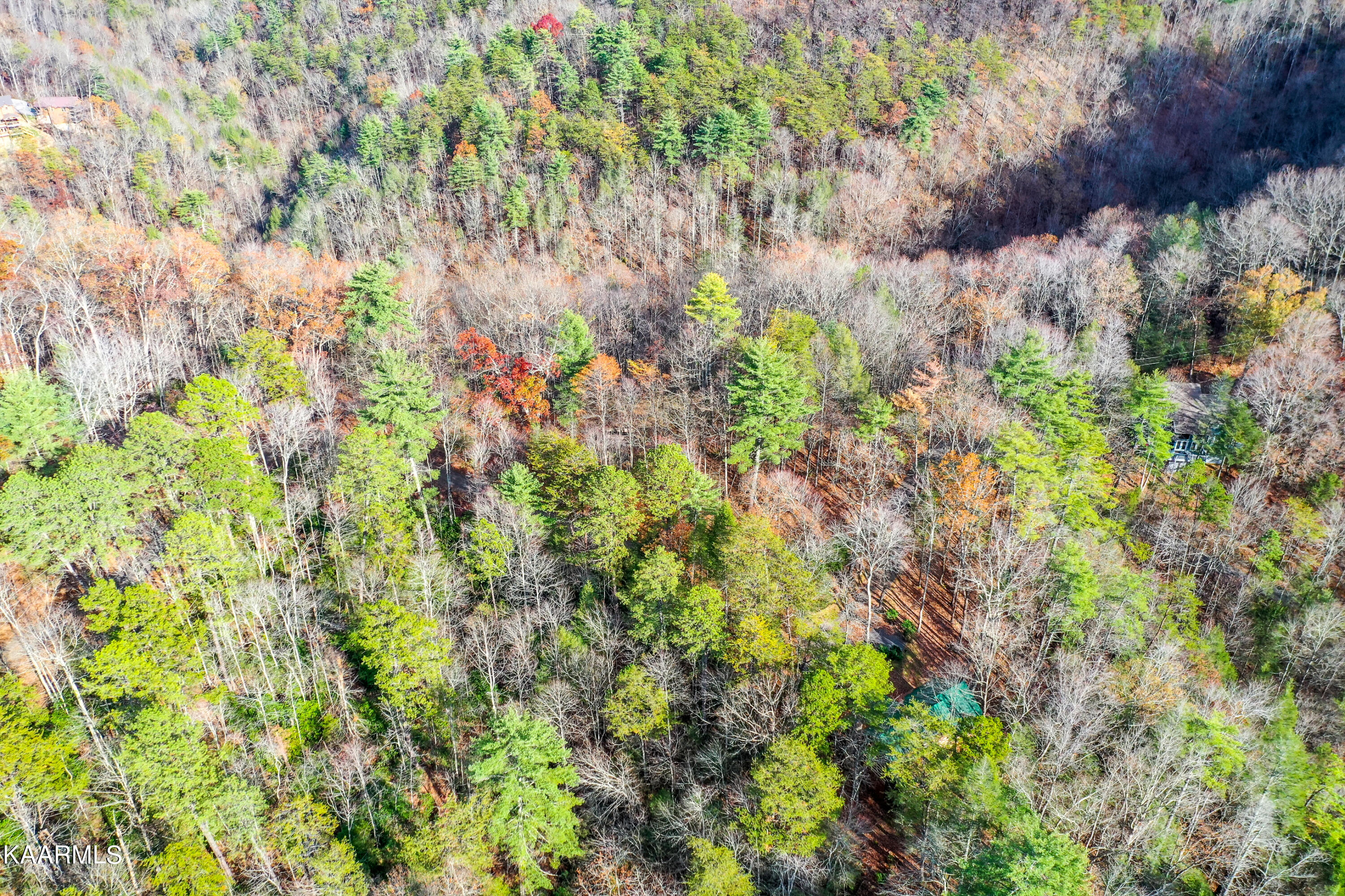 10-14 High Top Loop Sevierville, TN 37862 - Photo 9 of 17 DSC_0189-10