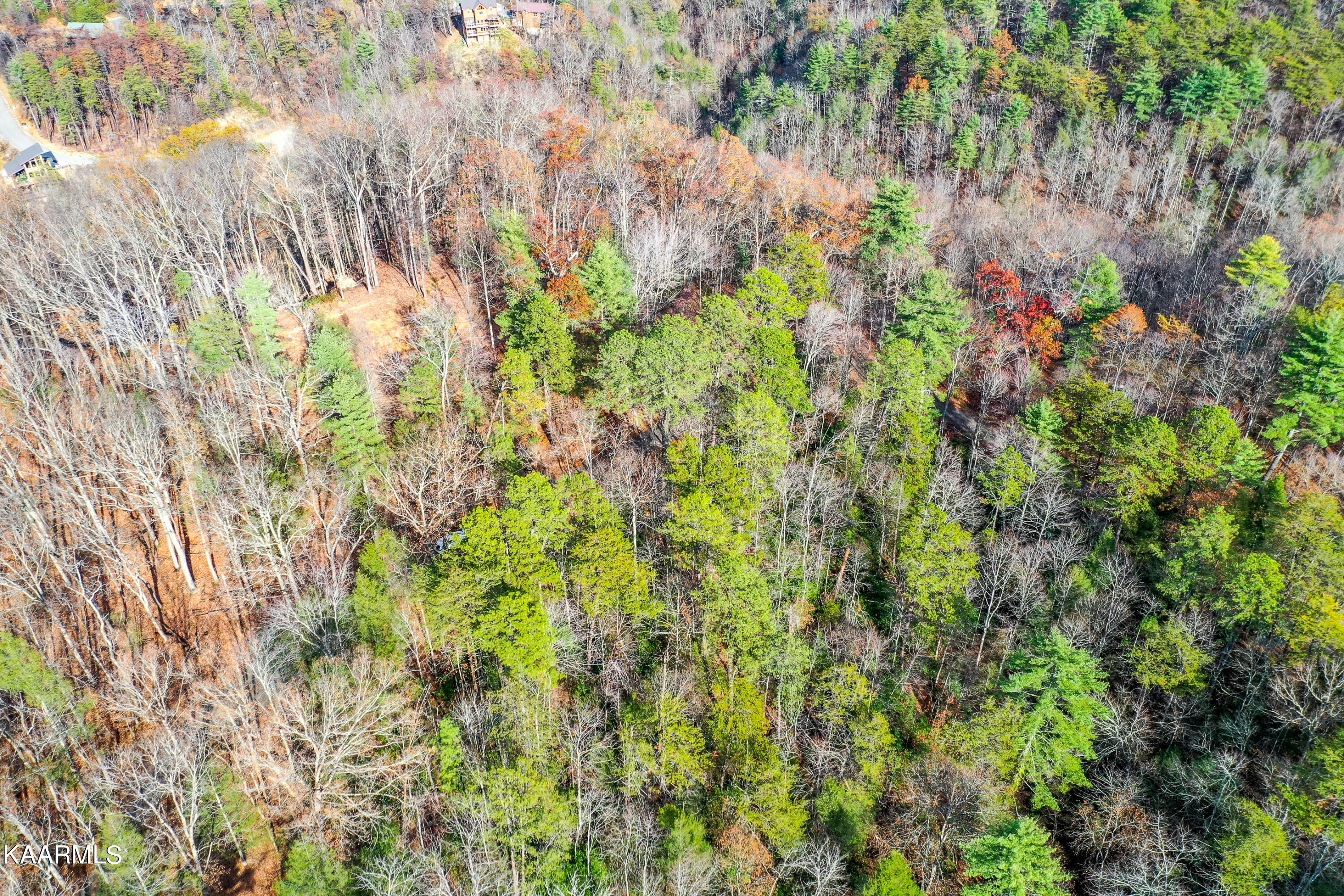 10-14 High Top Loop Sevierville, TN 37862 - Photo 10 of 17 DSC_0189-11
