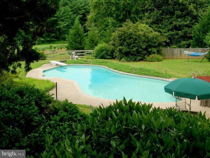 10354 Walker Road Culpeper, VA 22701 - Photo 23 of 23 Swimming Pool