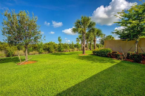a view of a grassy field with an trees