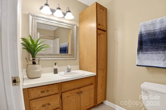 a bathroom with a sink a potted plant and a mirror