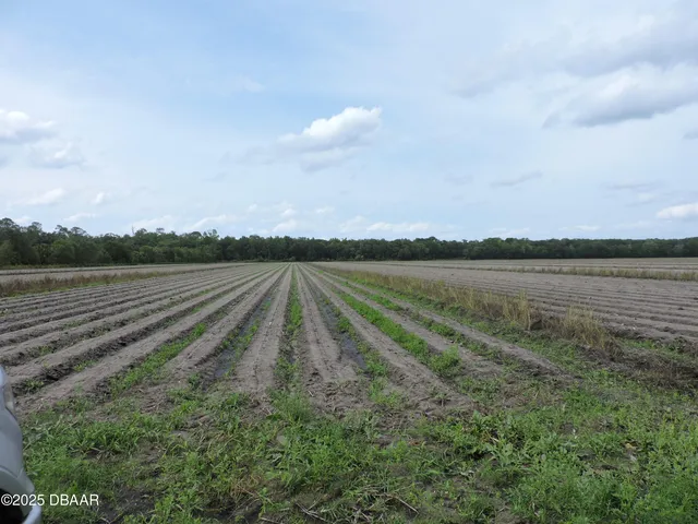 a view of a lake with houses in the background