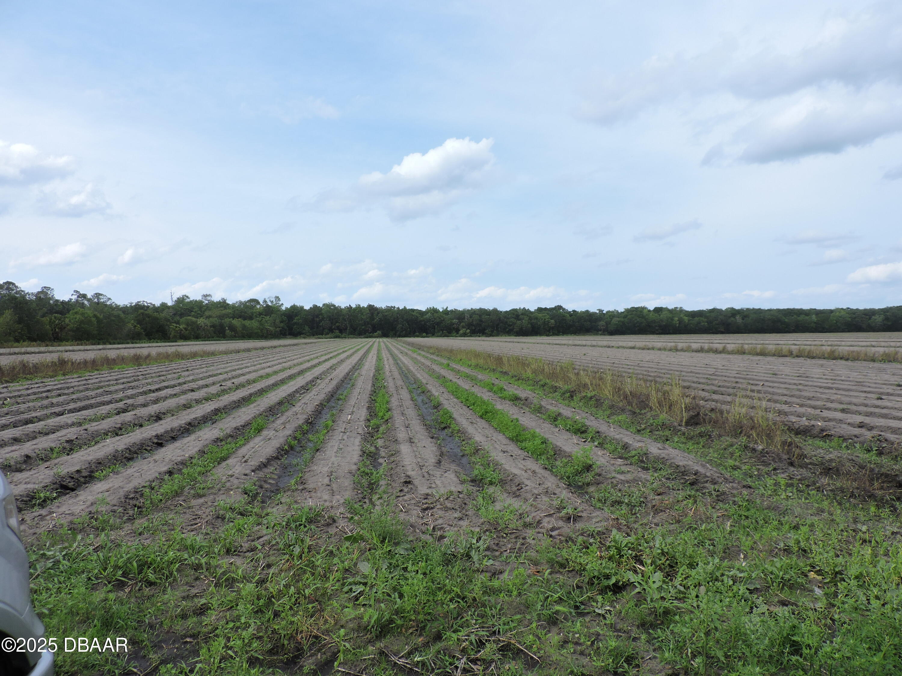 a view of a lake with houses in the background