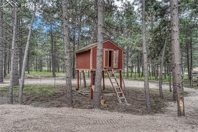 10745 Hungate Road Colorado Springs, CO 80908 - Photo 44 of 46 Treehouse.