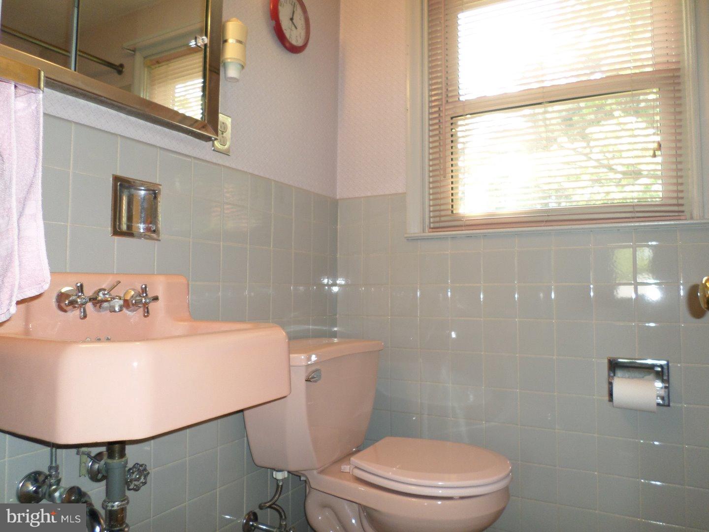 161 Crest Road Sinking Spring, PA 19608 - Photo 16 of 19 Bathroom