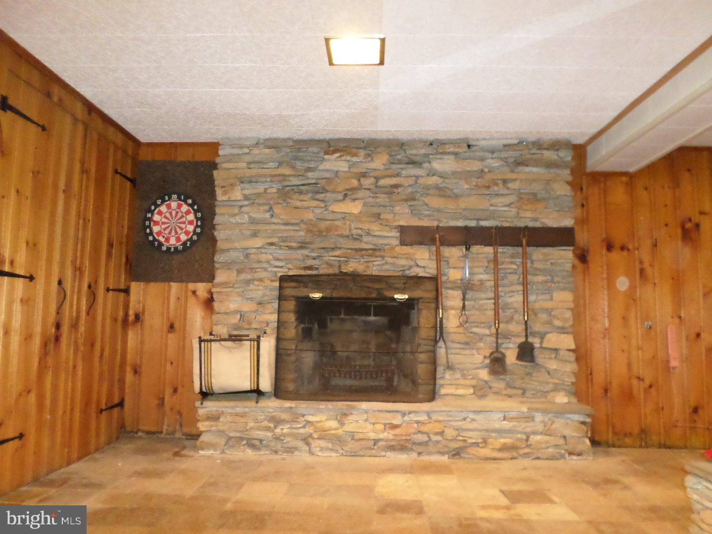 161 Crest Road Sinking Spring, PA 19608 - Photo 8 of 19 Fireplace