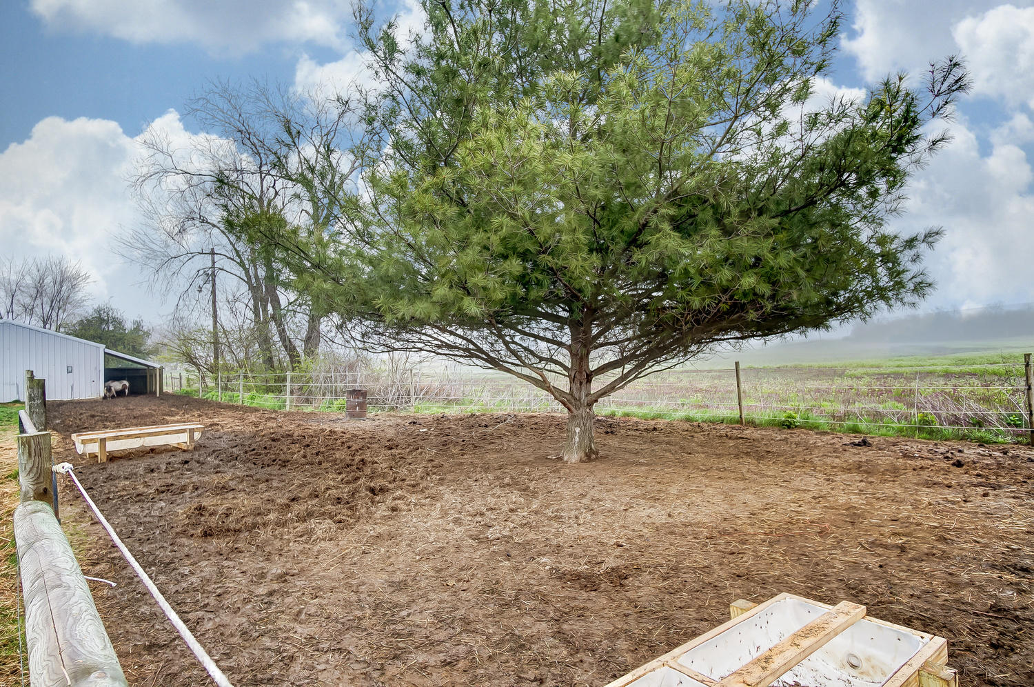 3773 Sink Hole Road West Liberty, OH 43357 - Photo 43 of 57