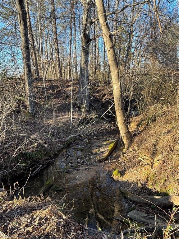 460 Greene Road Dobson, NC 27017 - Photo 39 of 49