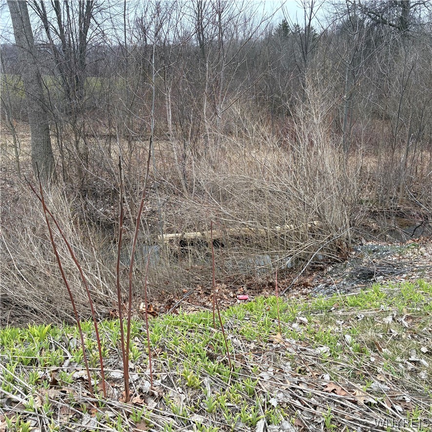 2330 Ridge Road Ransomville, NY 14131 - Photo 11 of 31 140 X 947'