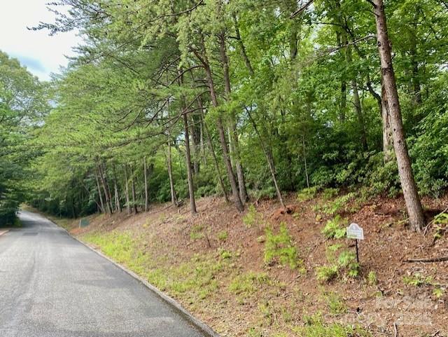 0 Quail Ridge Road, Unit 164 Lake Lure, NC 28746 - Photo 2 of 15 Gallery Image 2
