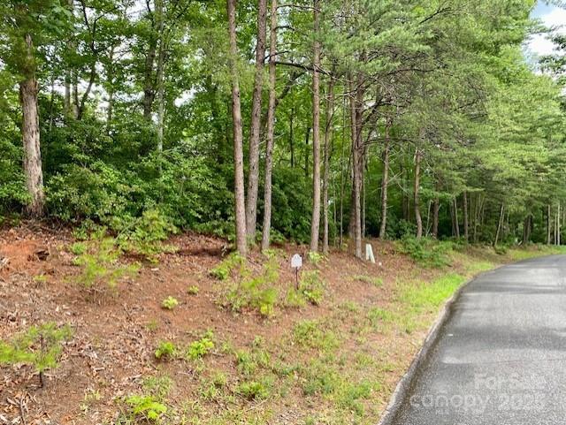 0 Quail Ridge Road, Unit 164 Lake Lure, NC 28746 - Photo 3 of 15 Gallery Image 3