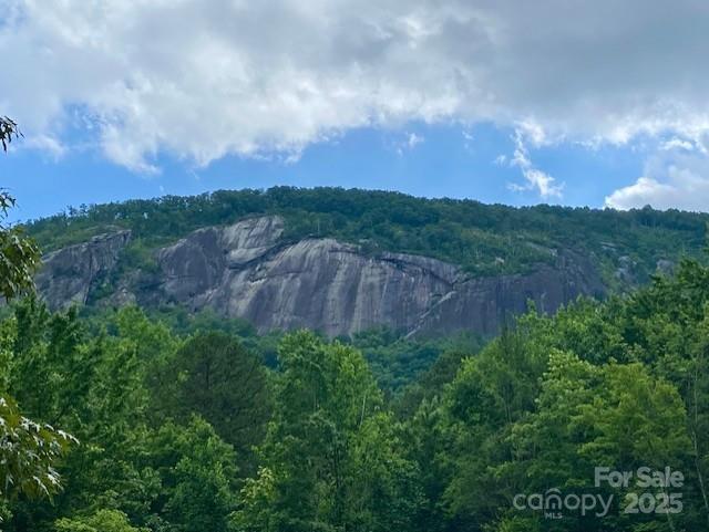 0 Quail Ridge Road, Unit 164 Lake Lure, NC 28746 - Photo 4 of 15 Gallery Image 4