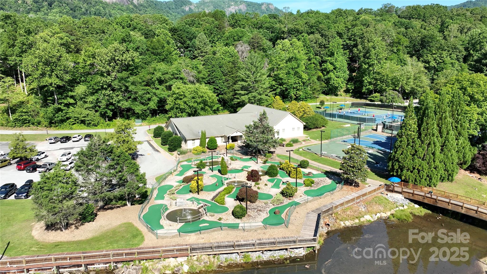 0 Quail Ridge Road, Unit 164 Lake Lure, NC 28746 - Photo 6 of 15 Gallery Image 6