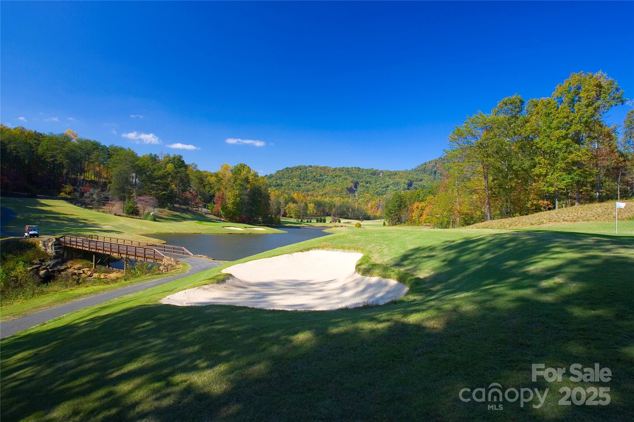0 Quail Ridge Road, Unit 164 Lake Lure, NC 28746 - Photo 10 of 15 Gallery Image 10
