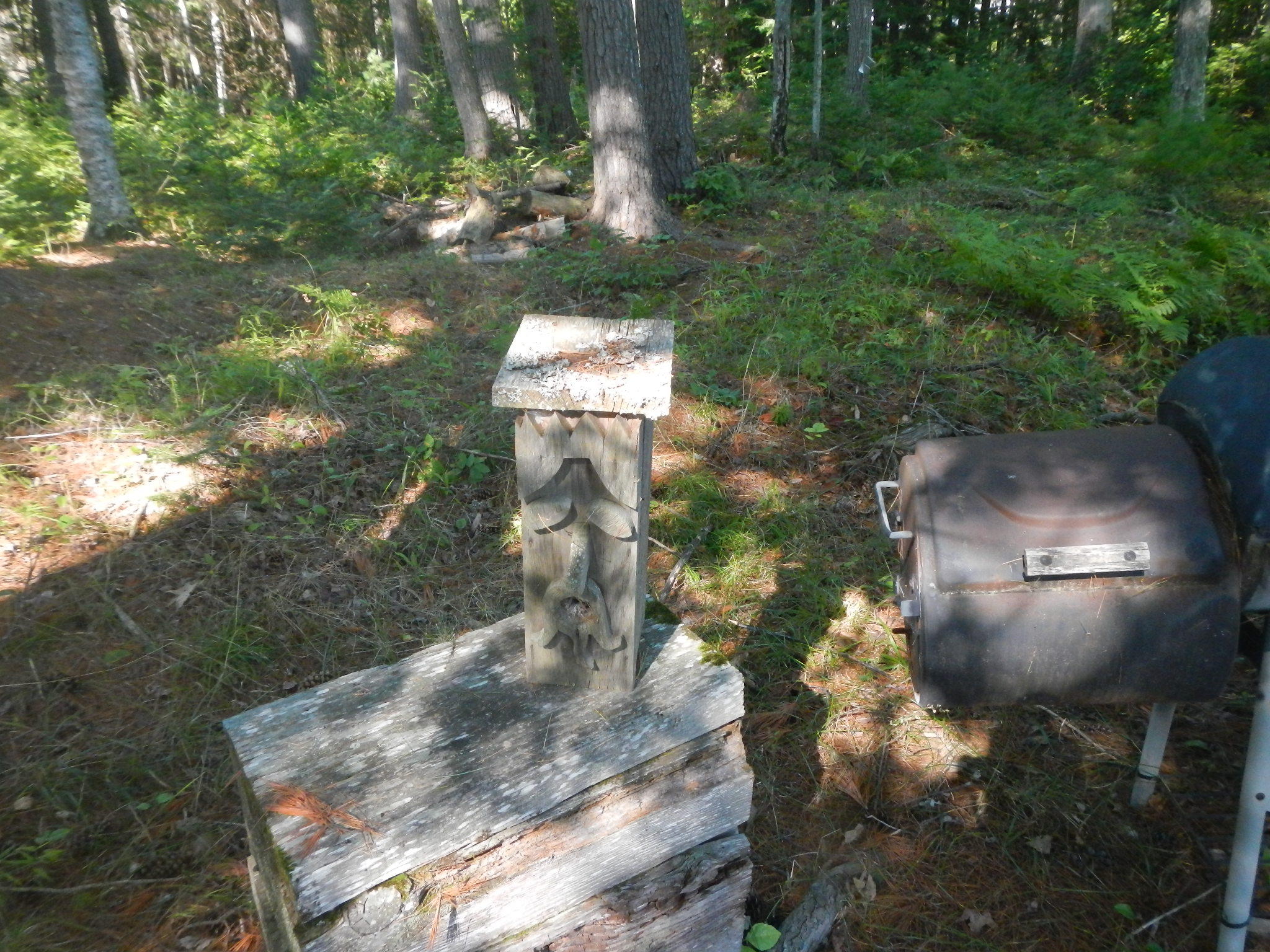 44 Aldrich Point Road Lincoln, ME 04457 - Photo 34 of 36 DSCN7413
