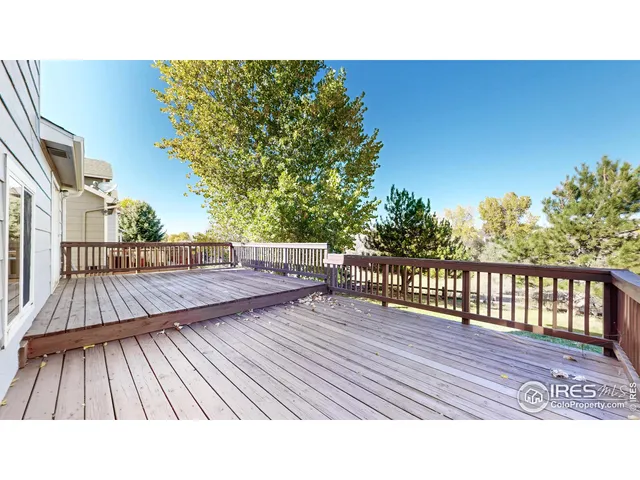 a black and white photo of a park