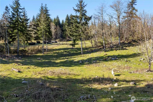 $750,000 | 13113 Algyer Road Southeast, Rainier, WA 98576